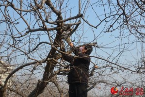 河北保定现状如何?市民:感染者确实不少︰(河北保定现在的疫情还严重吗)