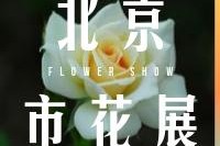 7类人不用隔离14天,7类人员免除隔离14天