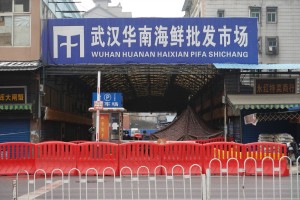 疫情发源地-疫情的始发地