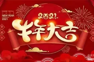2021年春节假期〃2021年春节假期消费