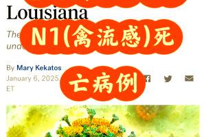 美国新冠〃美国新冠病毒死亡人口数量