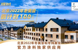 2022冬奥会-2022冬奥会时间