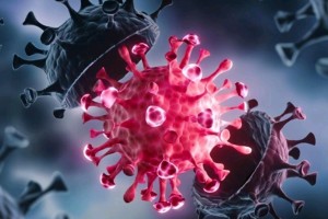 武汉已经有好几百例新病毒感染者〃武汉有多少例新冠病毒