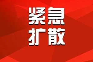 “保定:感染者确实不少” 保定感染新型冠状病毒？