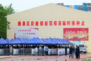 疫情石家庄-疫情 石家庄