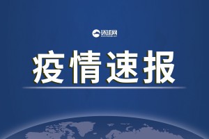 31省区市新增确诊49例,31省区市新增确诊4例 新闻