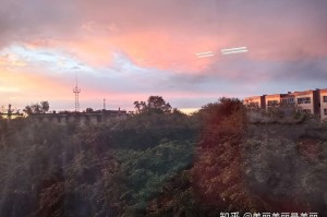 新疆新增31例本土病例,新疆新增本土病例29例