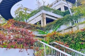「上海三地列为中风险地区」〃上海三地列为中风险地区怎么办