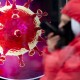“北京疫情即将爆发” 北京疫情即将爆发原因？