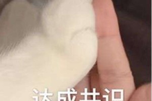 【31省新增本土61例／31省新增本土61例31】