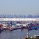 【河北新冠肺炎最新消息／河北新冠疫情最新信息】