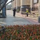 「上海无症状近万例57倍于确诊数」〃上海发现一例无症状感染者