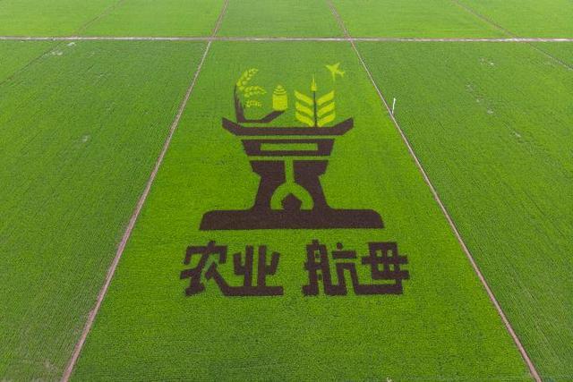 黑龙江黑河发生社区传播,黑龙江黑河确诊病例行动轨迹-第3张图片