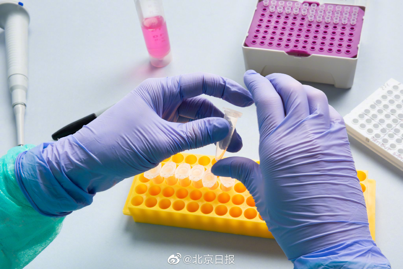 大连一家11口全部确诊新冠.大连一家11口全部确诊新冠病人-第1张图片