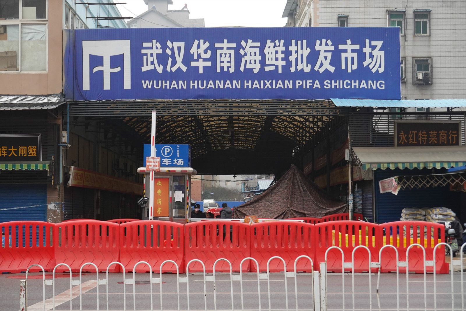 疫情发源地-疫情的始发地-第1张图片