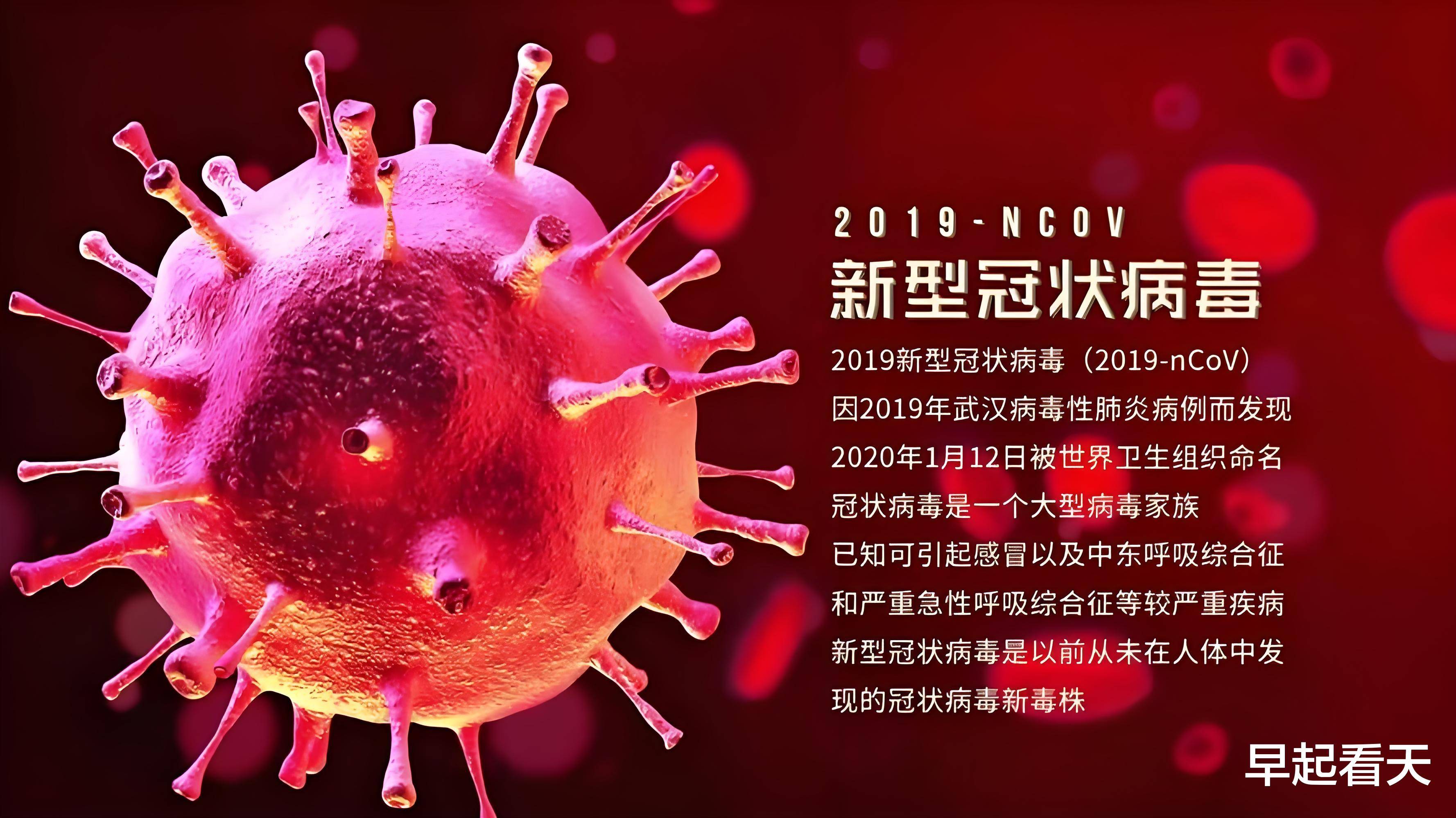 新冠肺炎人数统计,新冠肺炎患病人数-第2张图片