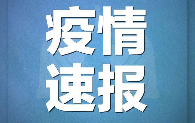 大连2例新增确诊病例详情-大连确诊2例新型冠状肺炎-第2张图片