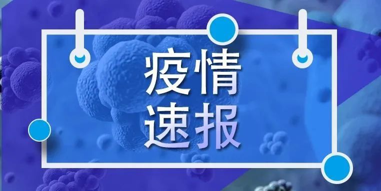 广西新增本土12例.广西新增疫情病例-第2张图片