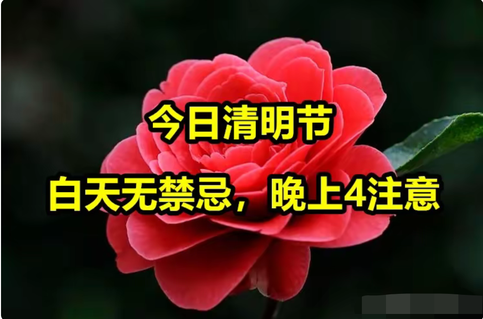 【清明节调休/清明节调休不】-第3张图片