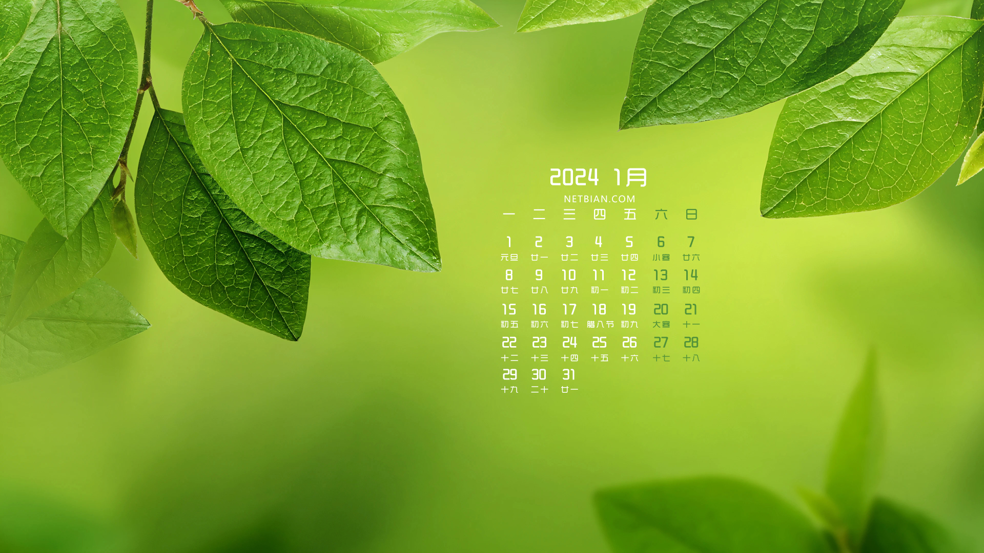 24年日历.2124年日历-第3张图片